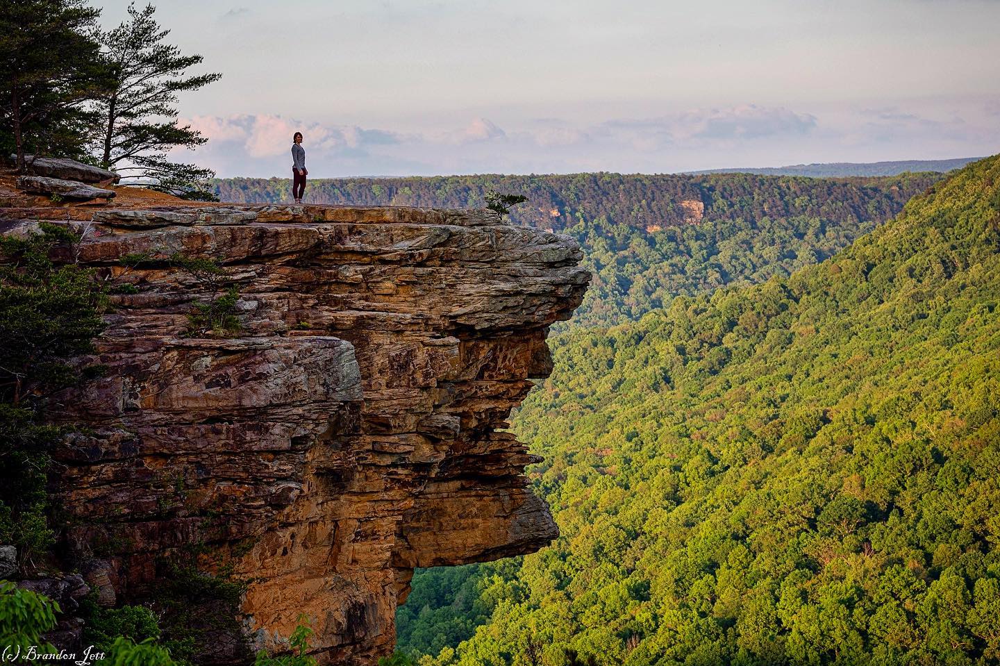 hiker standing on the edge of a cliff in Savage Gulf Natural Area