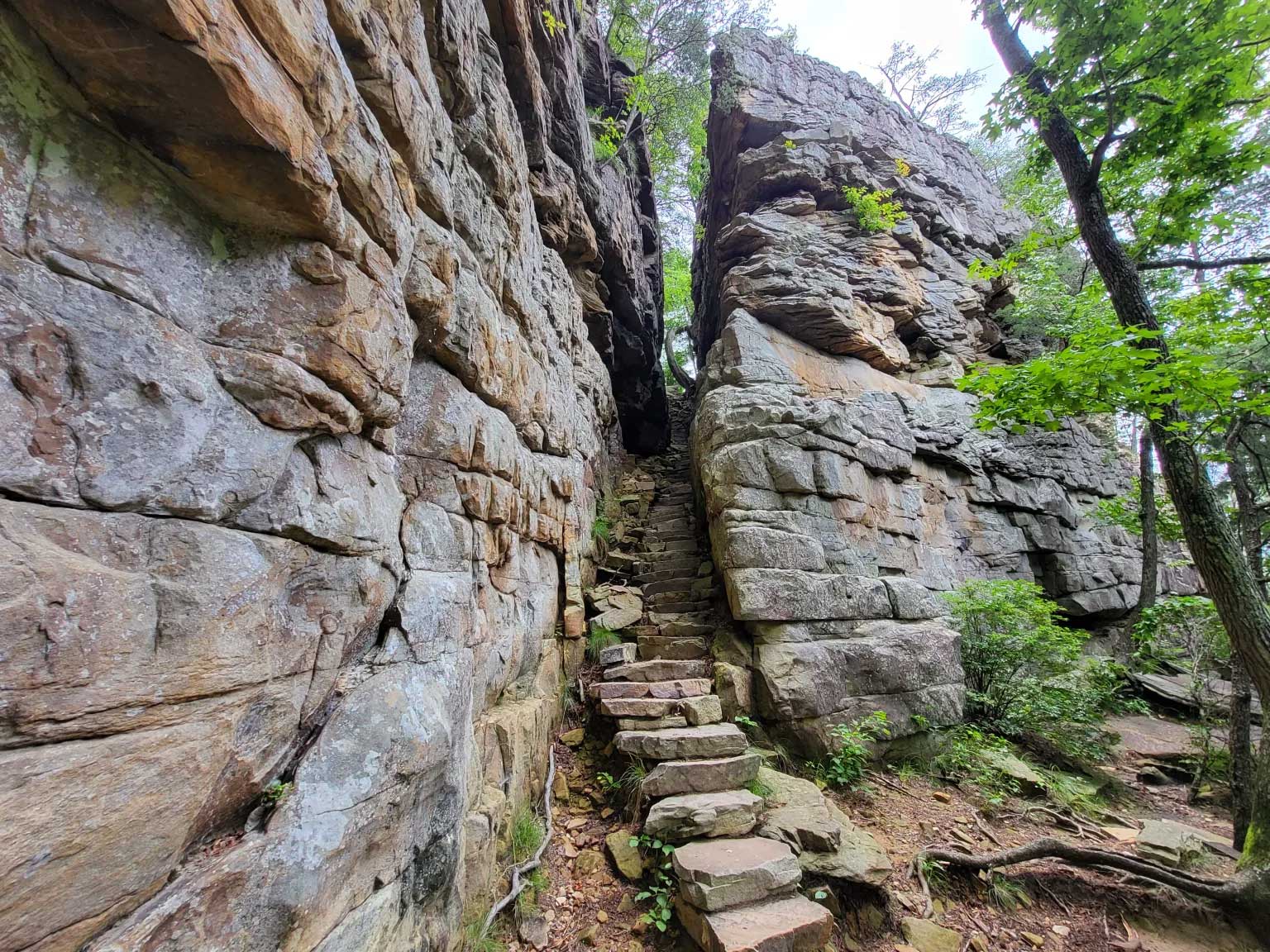 Steps leading to the Stone Door in the Savage Gulf State Natural Area