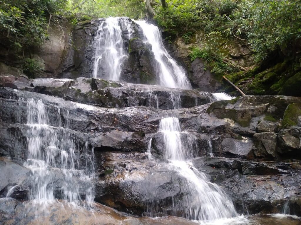 Multi-tiered waterfall cascading over dark, moss-covered rocks in a forested area at Laurel Falls in Savage Gulf, Tennessee. Lush greenery surrounds the falls, and water flows down in several narrow streams. 