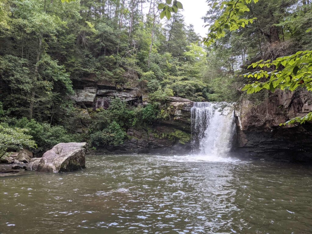 Wide waterfall cascading into a calm, rocky pool surrounded by dense forest at Savage Falls in Savage Gulf, Tennessee. The water flows over a mossy cliffside, with large boulders and greenery framing the peaceful natural scene.