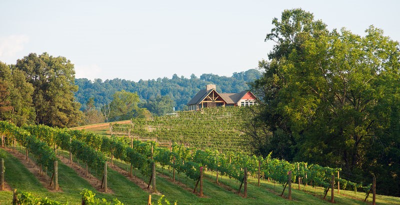 Addison Farms 1