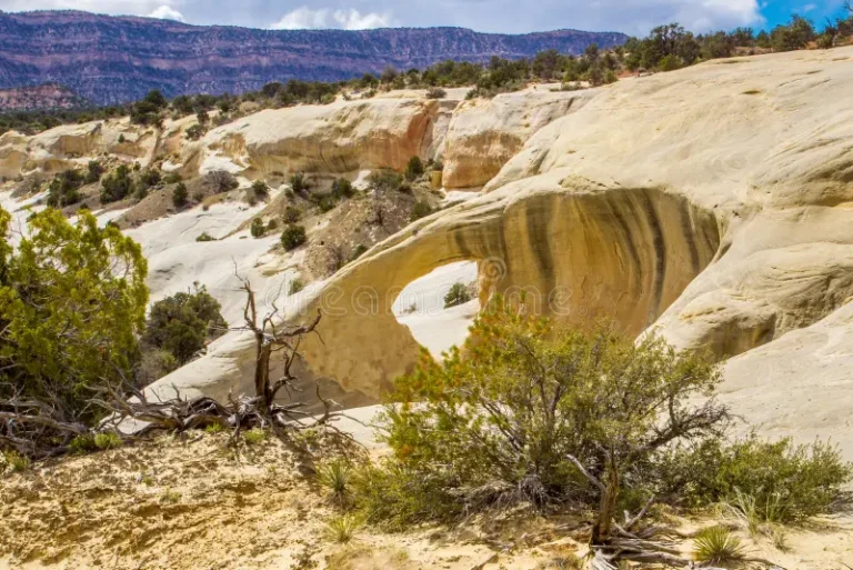 Cedar Wash Arch